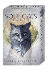 Soul Cats Tarot - open box