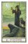 Tarot magie Druidů