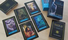 Wisdom of the House of Night Oracle Cards - open box