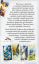 Tarot keltských draků