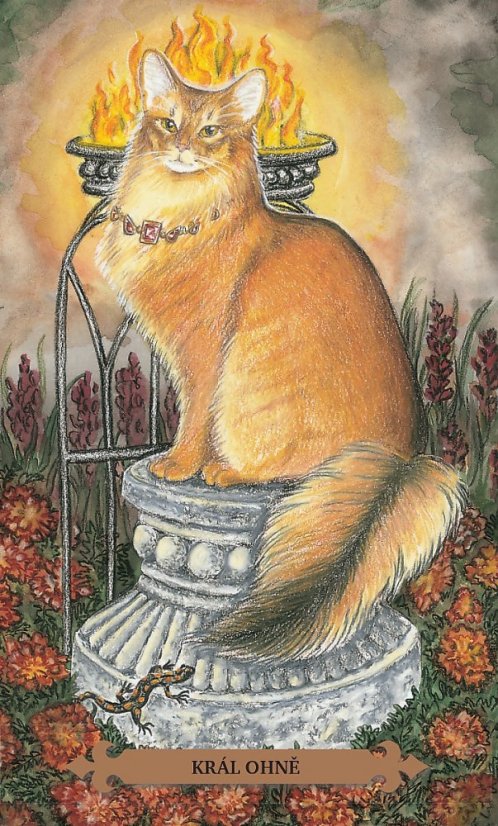 Kouzelný kočičí tarot, 3.vydání