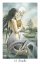 Tarot divokého lesa
