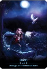 Dark Light Oracle - open box