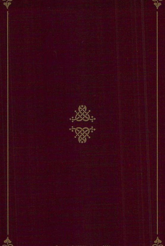 Tarot magie Druidů