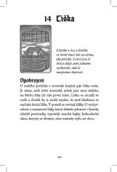 Mystická Lenormand - POUZE NÁVOD PRO VÝKLAD LENORMAND