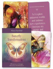 Butterfly Transformations - open box