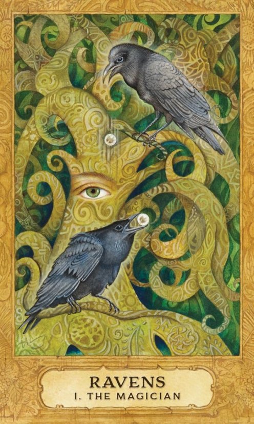 Chrysalis Tarot - open box, damaged booklet