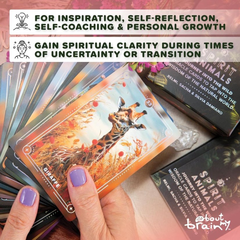 Spirit Animals Oracle Deck - open box