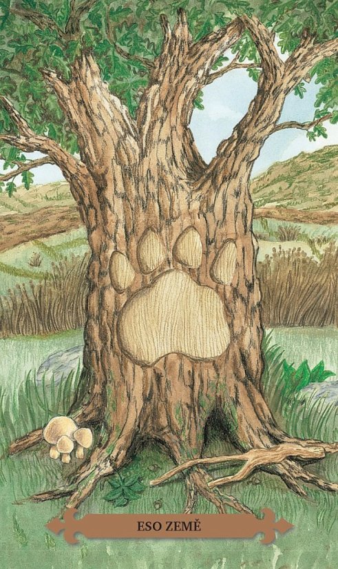 Kouzelný kočičí tarot, 3.vydání