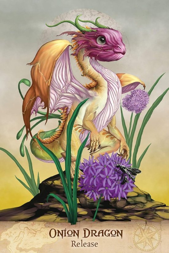 Field Guide to Garden Dragons  - open box