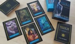 Wisdom of the House of Night Oracle Cards - open box