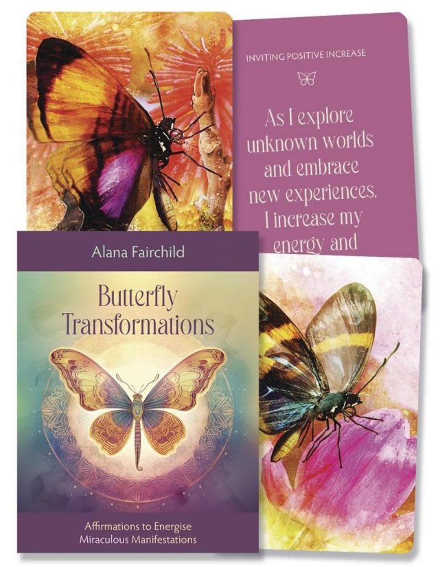 Butterfly Transformations - open box