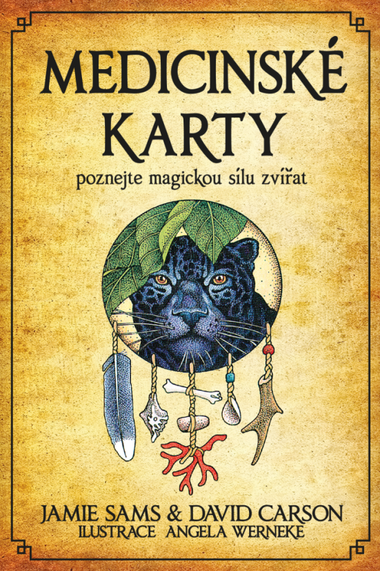 Medicinské karty