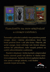 Šamanské léčení