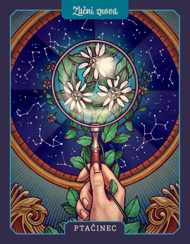 Magické rostliny