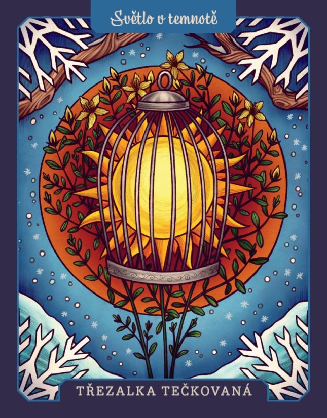 Magické rostliny