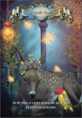 Hummingbird Wisdom Oracle Cards - open box