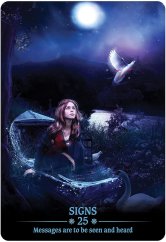 Dark Light Oracle - open box