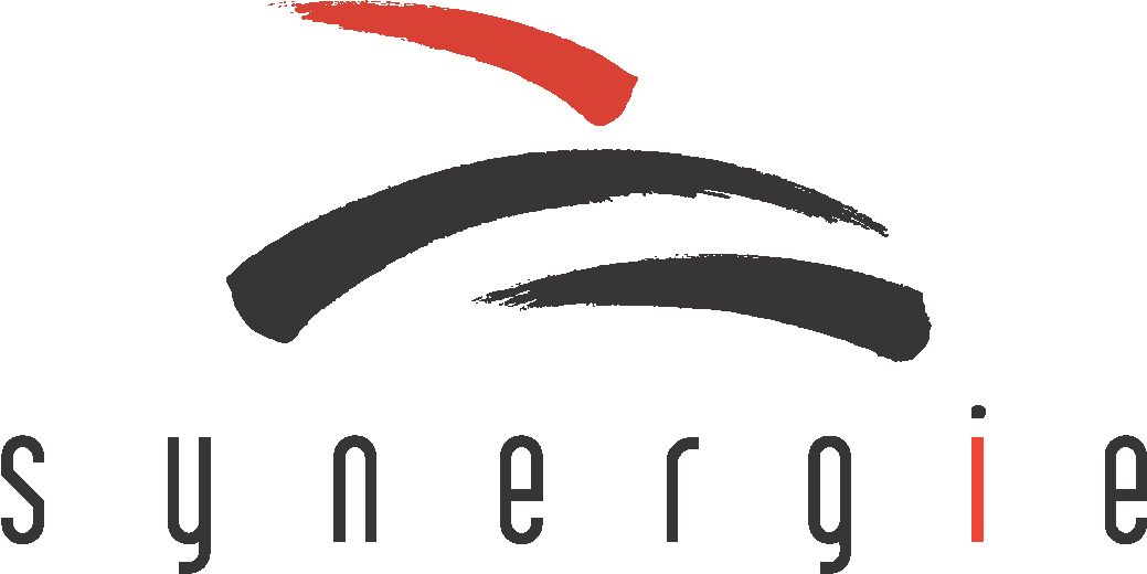 Synergie Publishing SE