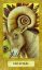 Chrysalis Tarot