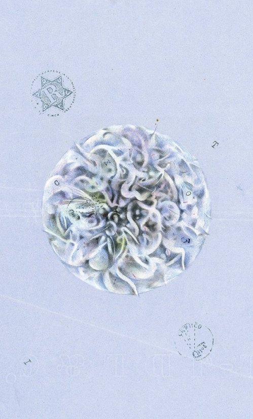 Archeo