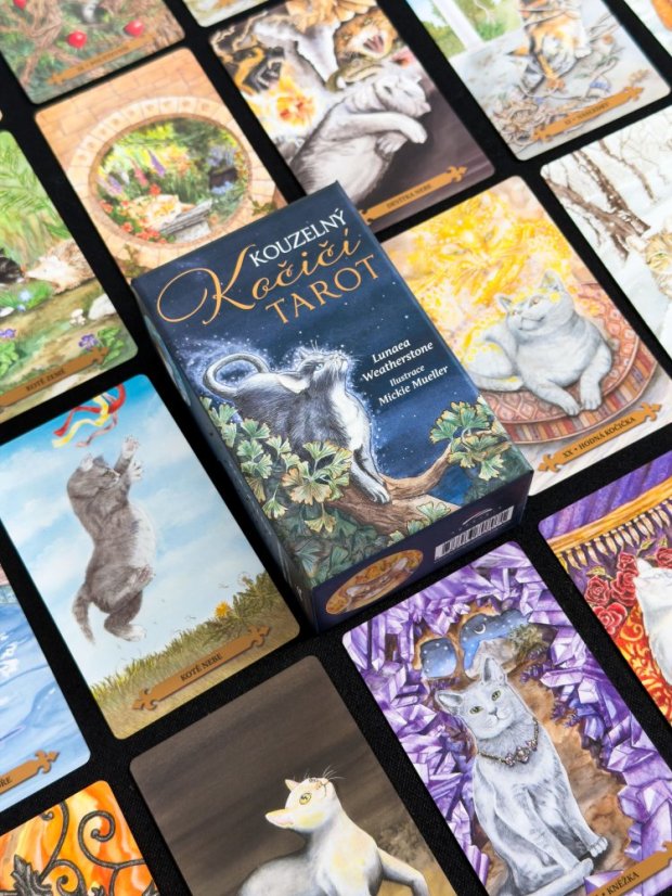 Kouzelný kočičí tarot, 3.vydání
