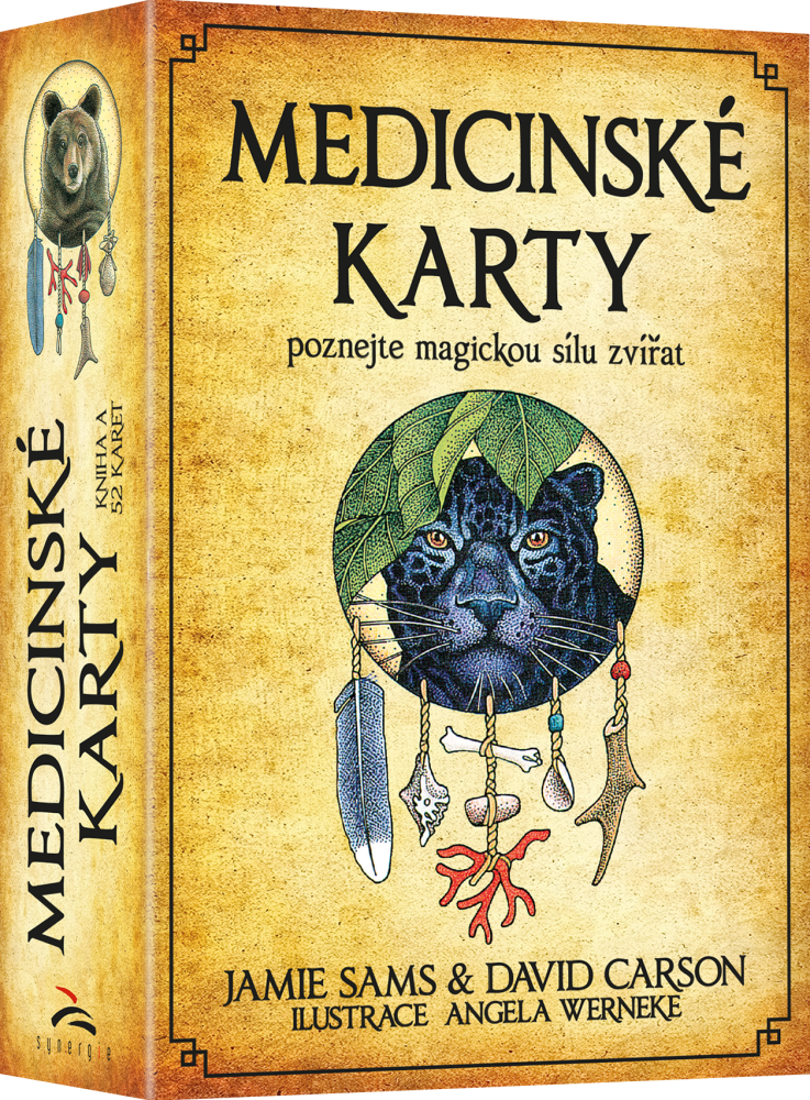 Levně Medicinské karty