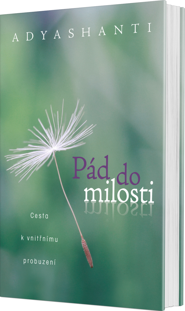 Levně Pád do milosti